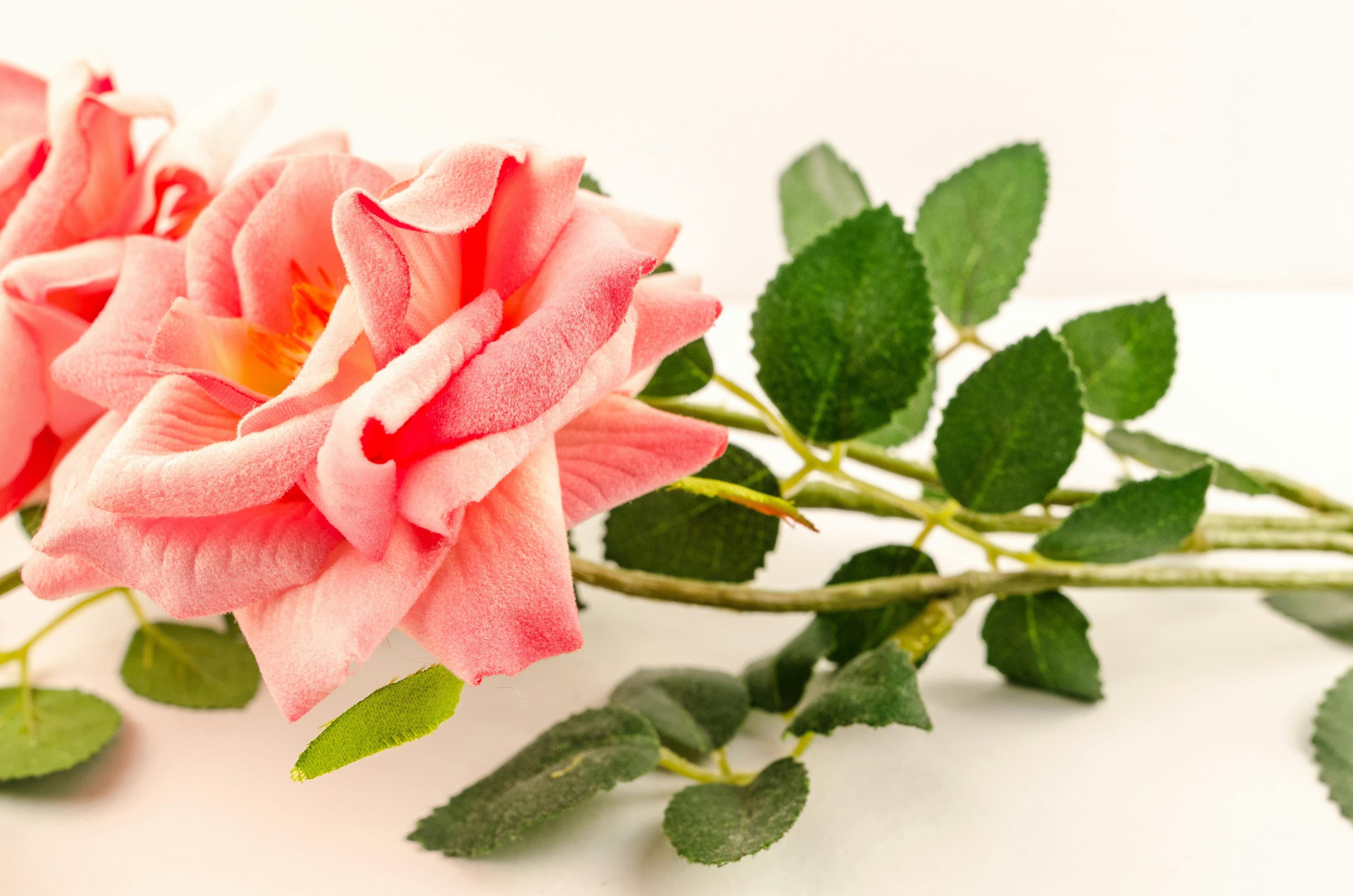 Essential Tips for Wedding Photography